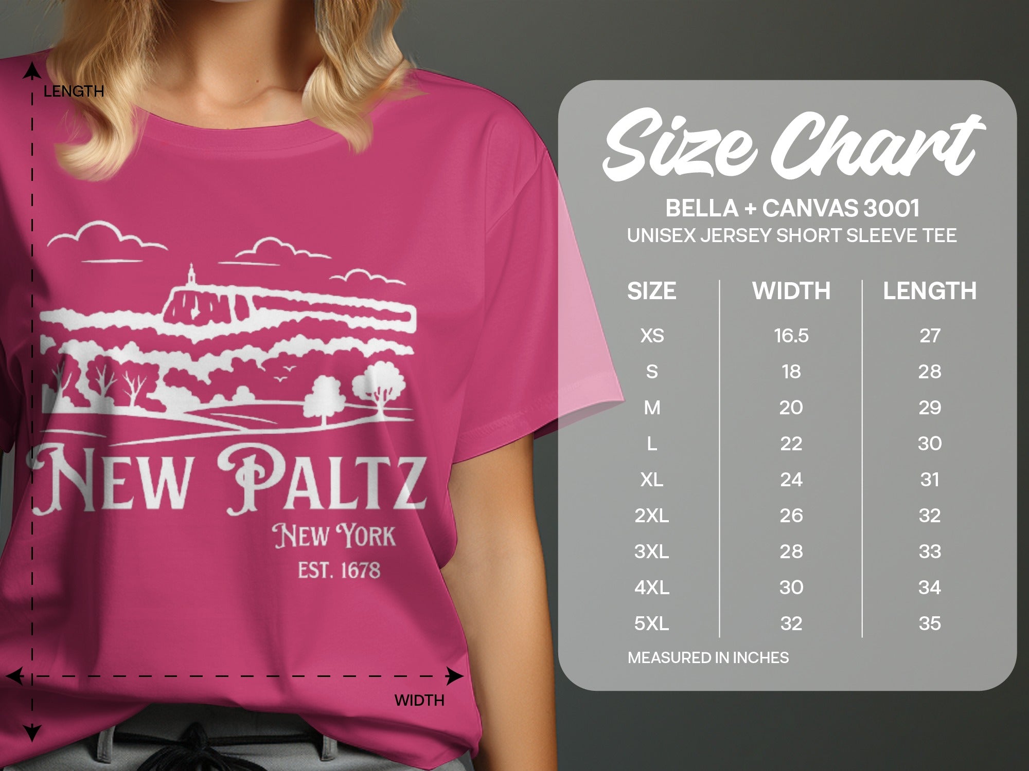 New Paltz New York Est 1678 Unisex Jersey Tee