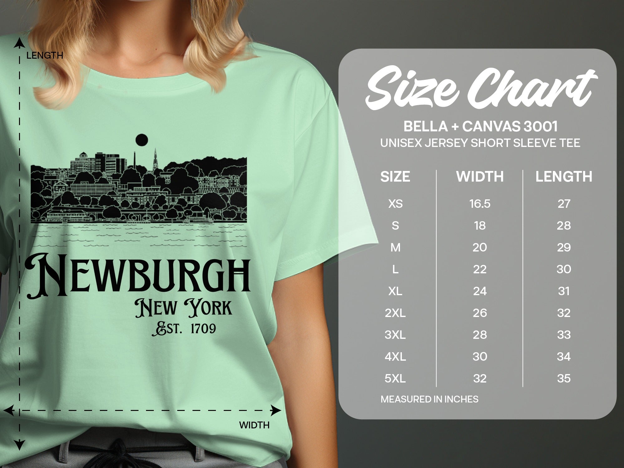 Newburgh New York Est 1709 Unisex Jersey Tee