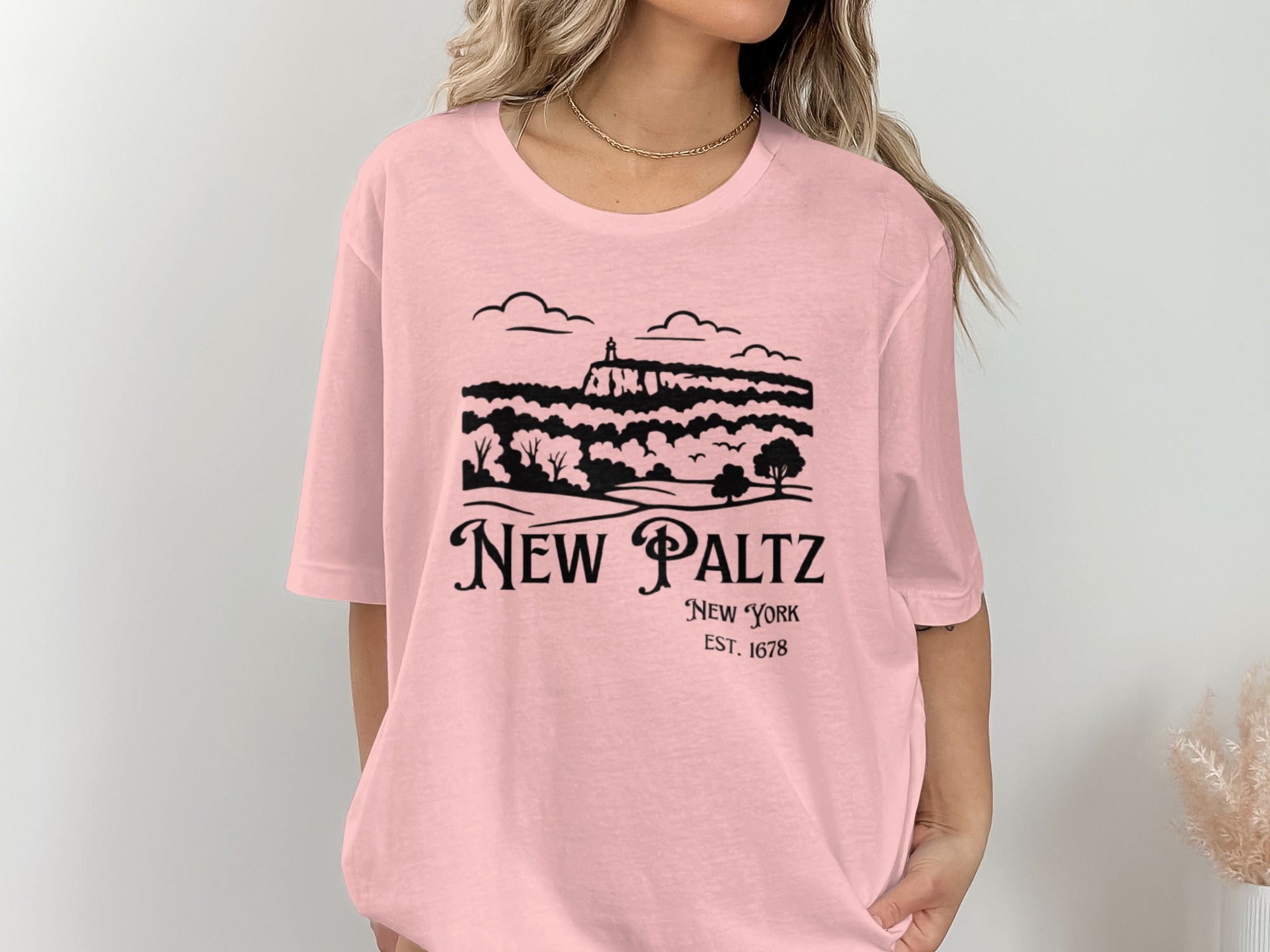 New Paltz New York Established 1678 Graphic Shirt