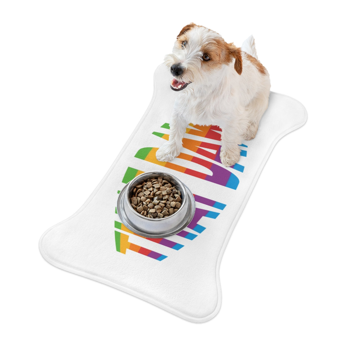Colorful Dog Bone Shaped Pet Food Mat For Clean Meals