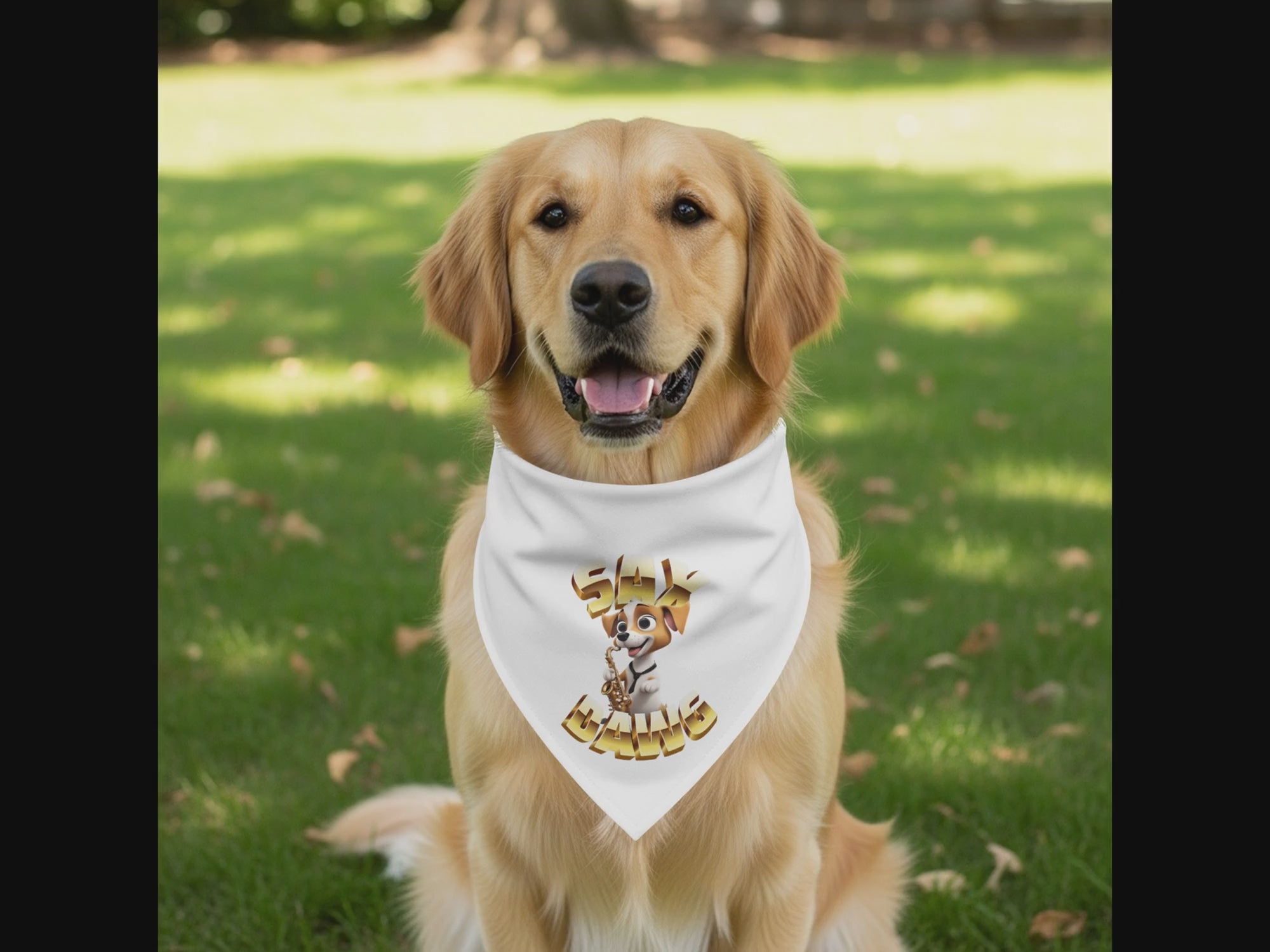 936e10c3-a5f1-4900-8521-3b39f8a31b8d