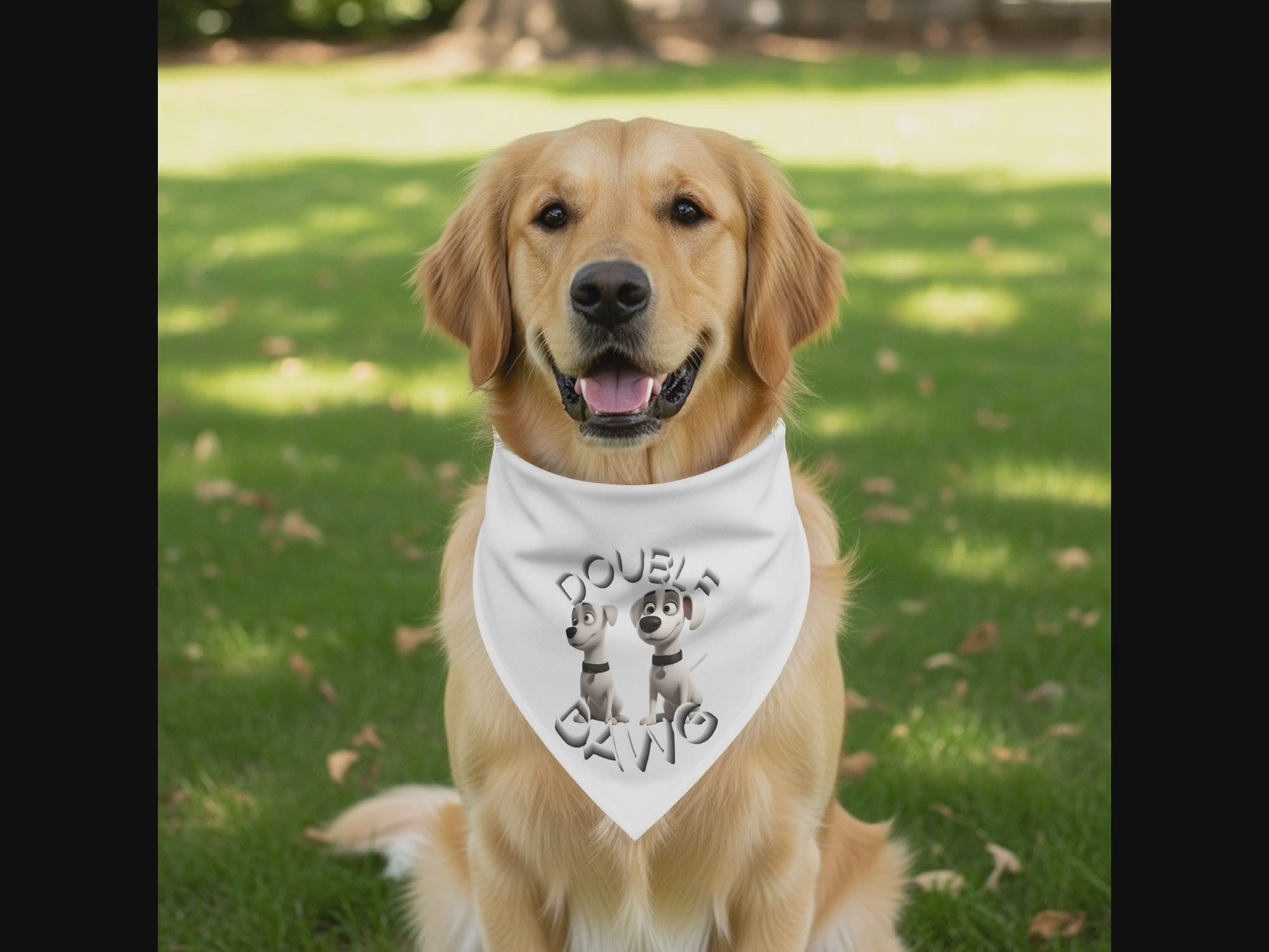 43845ae3-ed28-4018-b3df-5de1e0f1a802