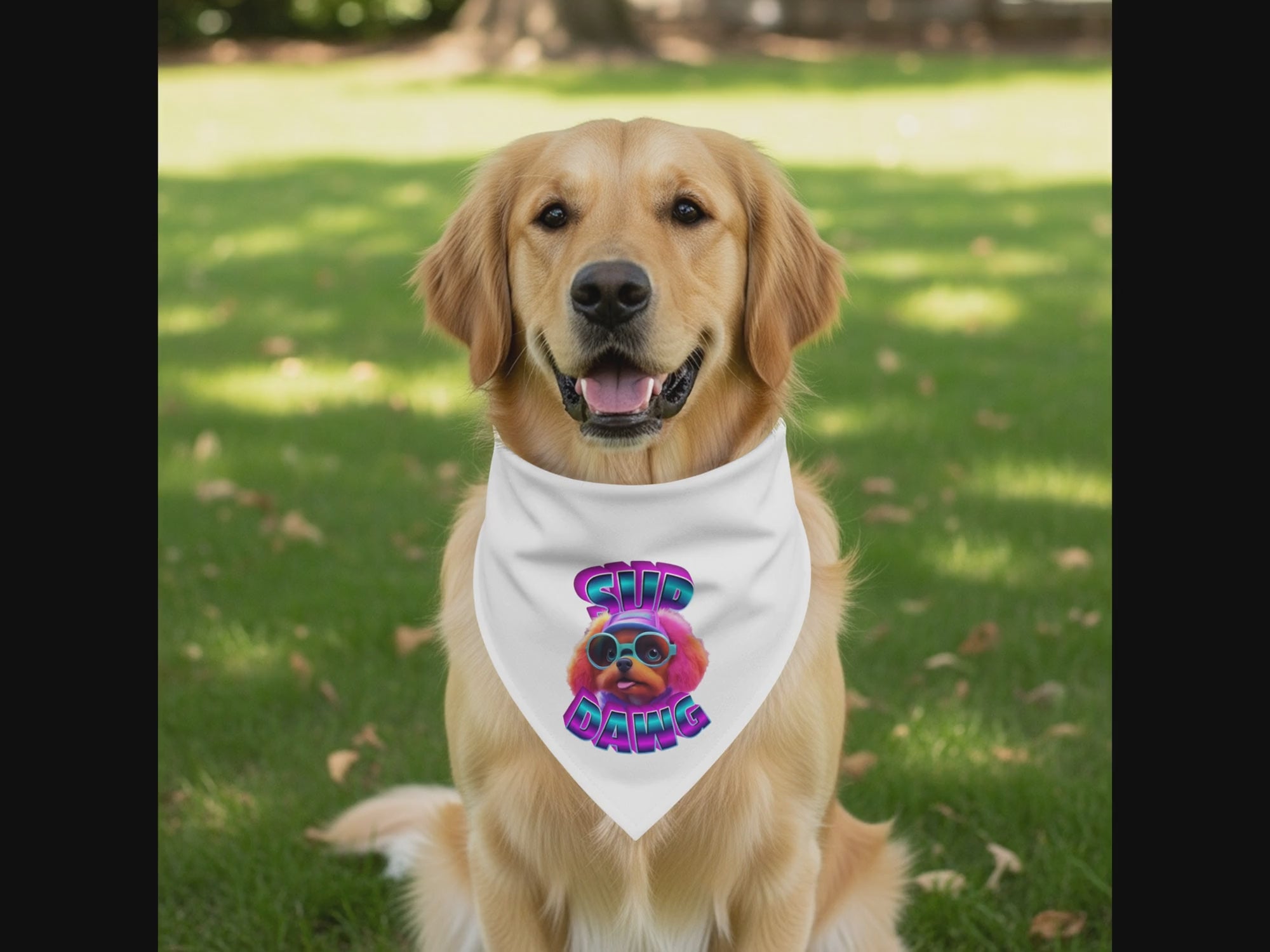 a3eb0434-a509-42c7-8a6e-b12a1b1e8292